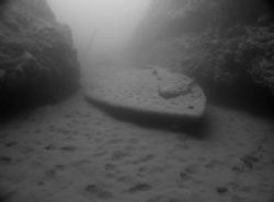 natural light,16mm wide angle conversion lens on sp350. by Jon Justice 